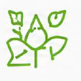 Sustainable Innovation icon